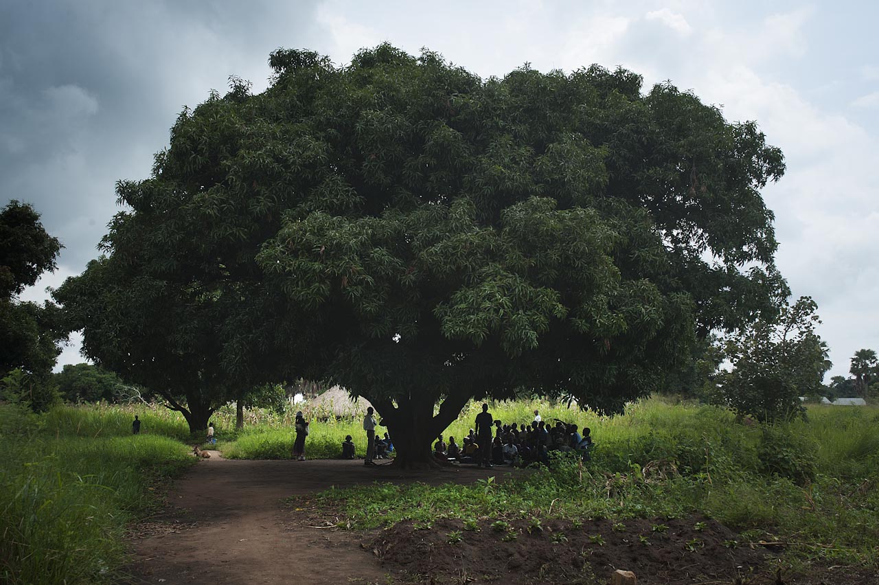Where We Work — Cycle Connect community meeting under a shade tree in rural Uganda